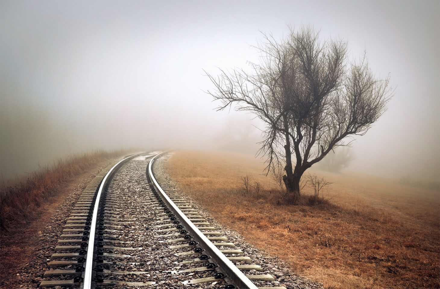 jakeolson-oldskull-foto-15