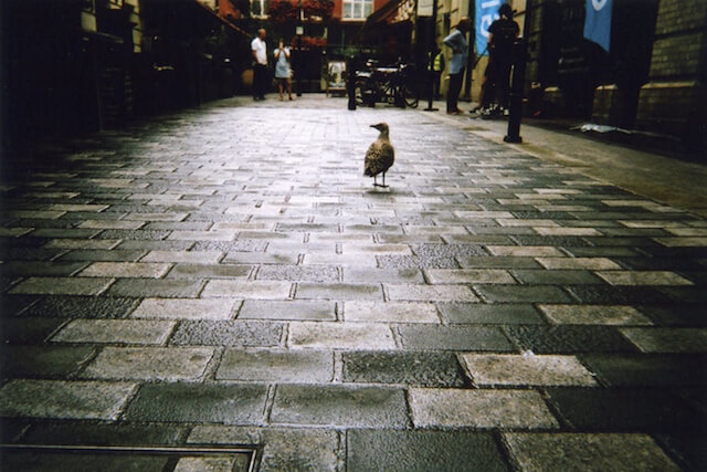 HomelessLondon-fotografia-oldskull-13