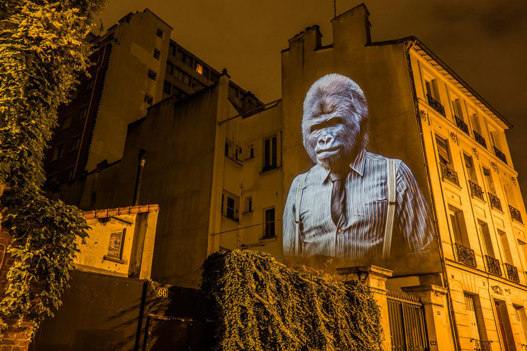 safari urbain oldskull 1