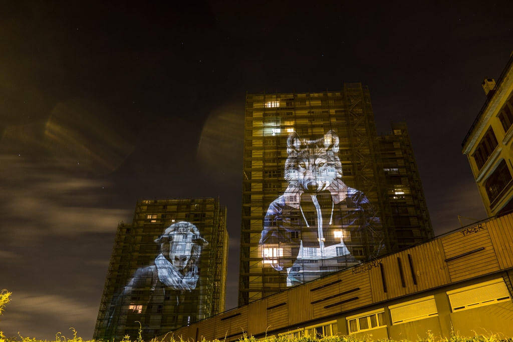 safari urbain oldskull 10