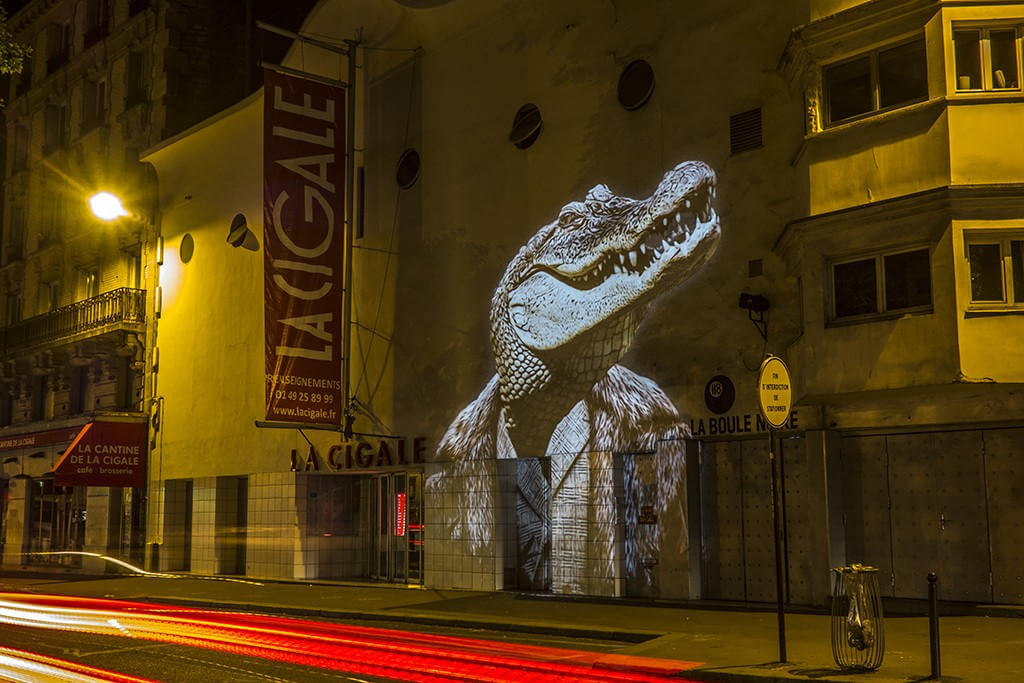 safari urbain oldskull 11
