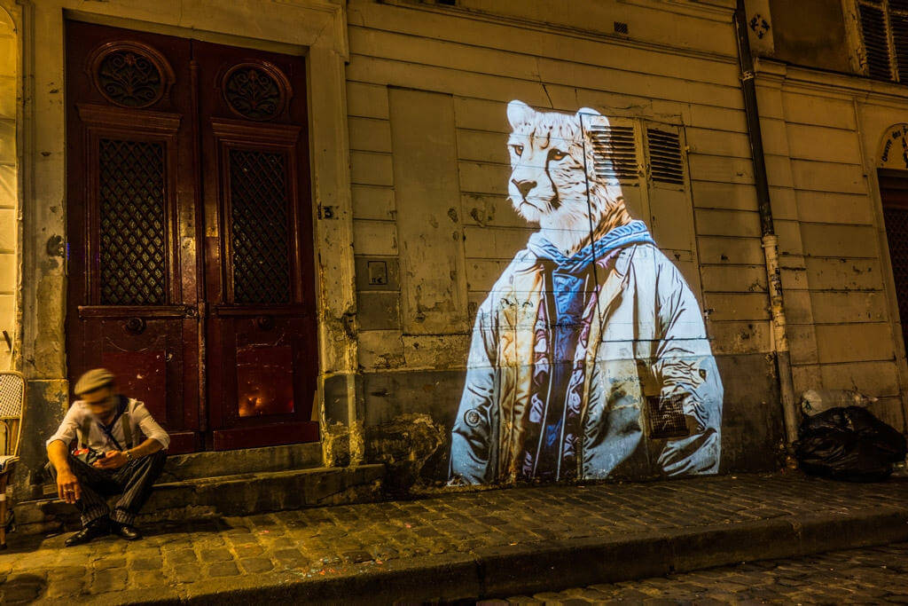 safari urbain oldskull 3-2