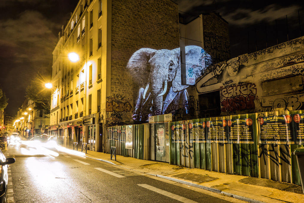 safari urbain oldskull 3
