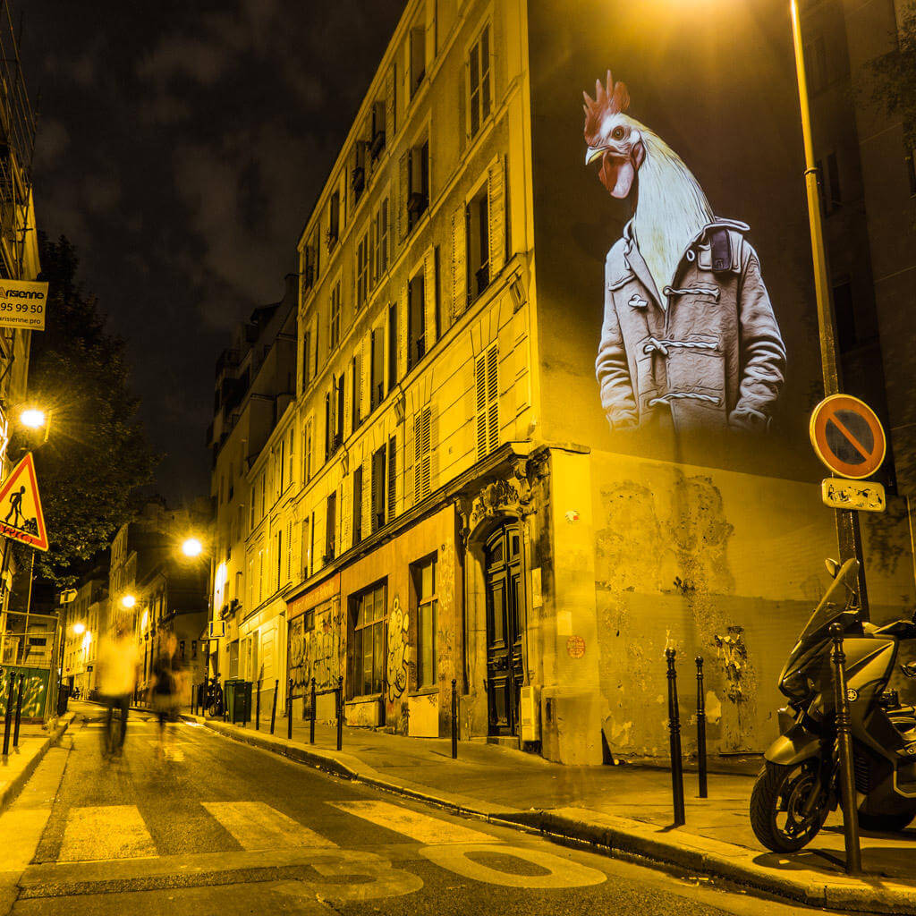safari urbain oldskull 5