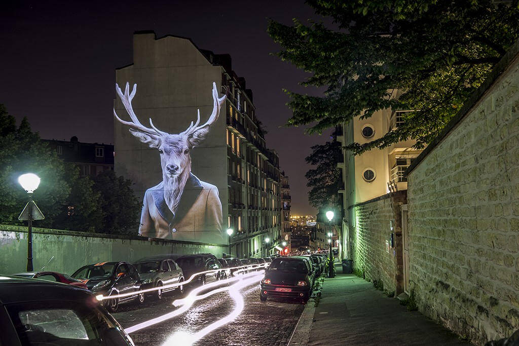 safari urbain oldskull 6