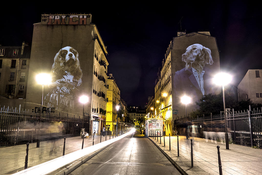 safari urbain oldskull 7