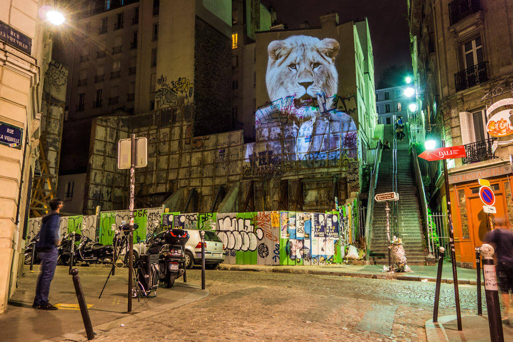 safari urbain oldskull 9