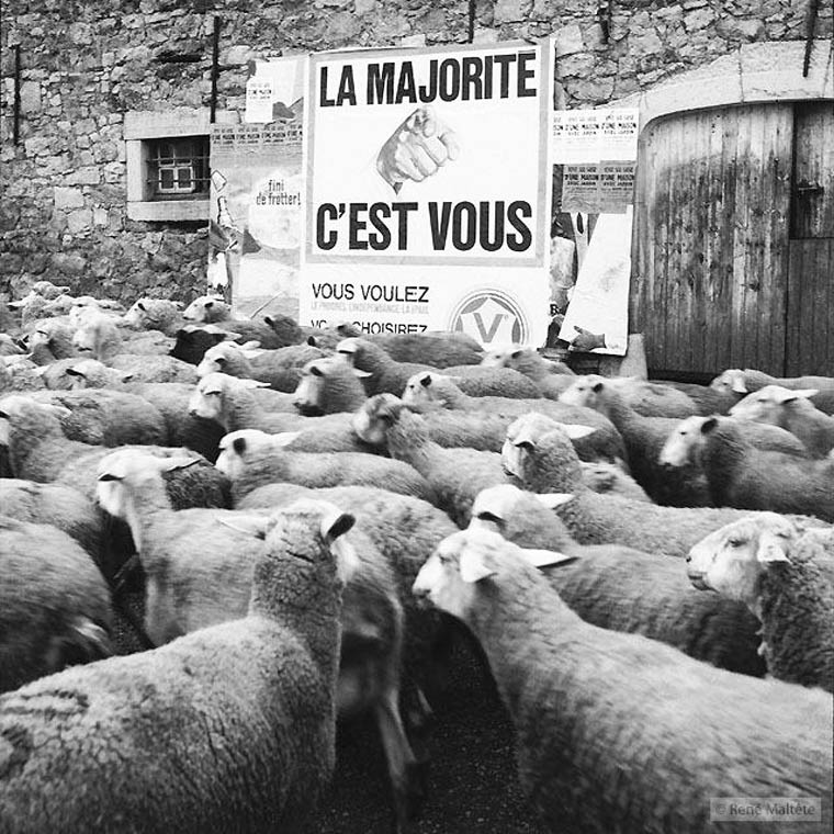 Rene-Maltete-photography-12