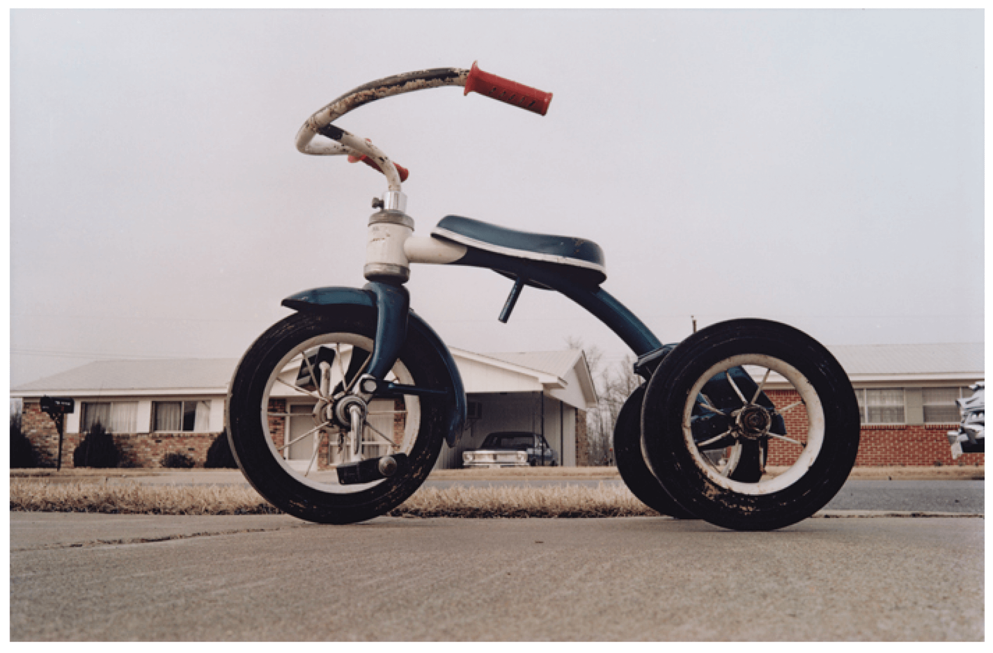 WilliamEggleston-fotografia-oldskull11