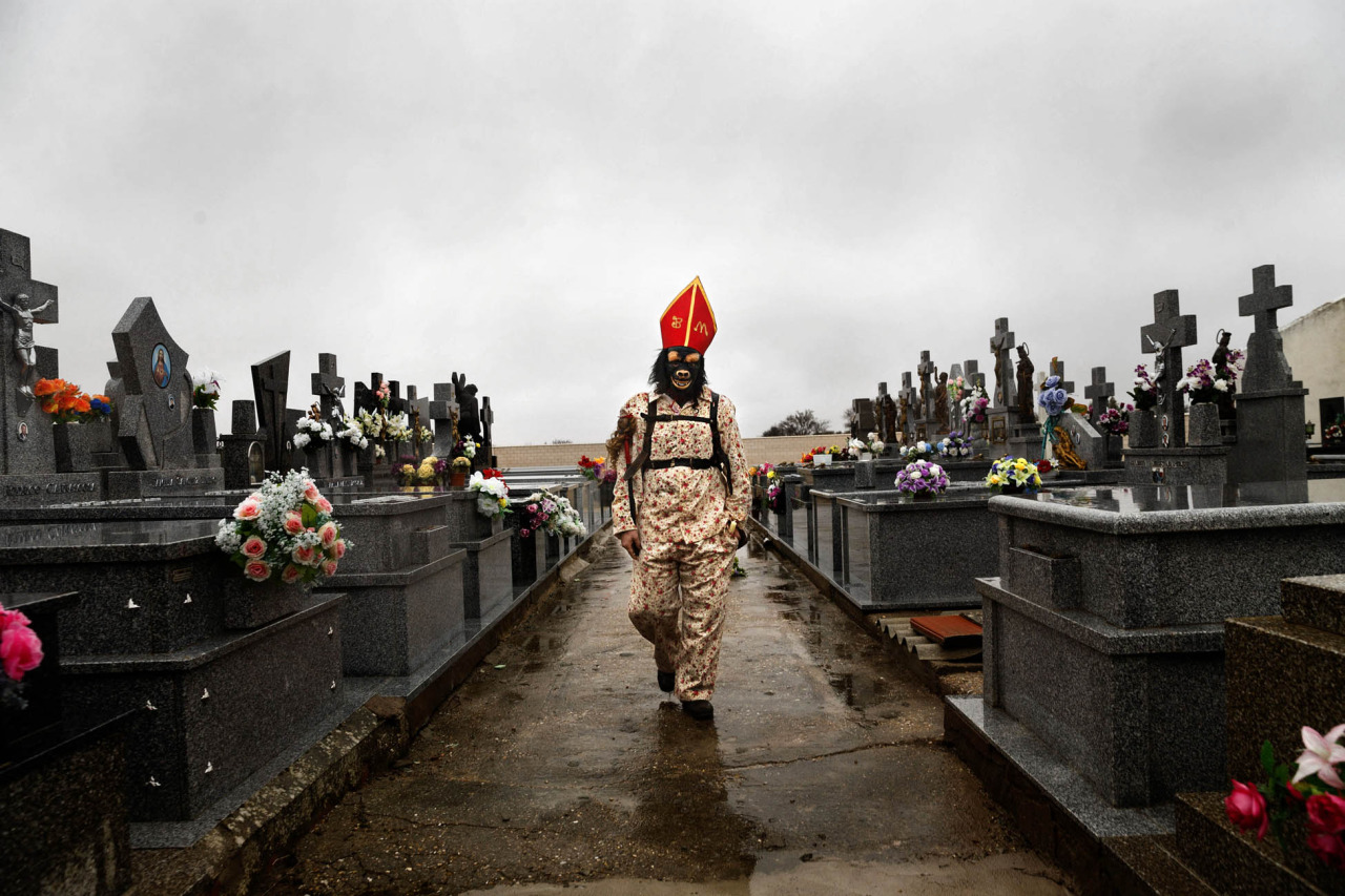 In this Feb. 2, 2015 picture, a member of the Endiablada brotherhood walk trough the cemetery after paying respect to their deceased fellow believers and relatives during the 'Endiablada' traditional festival in Almonacid Del Marquesado, Spain. During the Endiablada, or 'The Brotherhood of the Devils' believers dressed in colorful costumes, wearing a red mitre and big copper cowbells hanging tied to their waists make lot of noise as they walk, dance or jump around streets if the tiny village, and during its procession, in front of the a sculpture depicting the Virgin or the Saint. In the "Endiablada", is a tradition that has survived through the centuries in honor of the Candelaria's Virgin and San Blas. Candelaria, refers to the Jewish protocol, in which the Virgin Mary had to present her new baby, Jesus, to the temple, forty days after his birth. In the Catholic teachings, it is said that this action caused the Virgin Mary great anxiety and shame because of the public knowledge of the unusual circumstances of Jesus’s birth. La Endiablada brotherhood with their noisy bells are said to be trying to divert the public’s attention so that the Virgin Mary could fulfill her obligation and avoid suffering such embarrassment and shame. The connection of the dancing 'diablos' to San Blas has another explanation, according to a local legend shepherds found an image of San Blas, a miraculous event took place and they understood to be a sign that the saint was meant to stay in Almonacid. As a sign of their joy the shepherds rang the bells of their cattle so giving La Endiablada their famous cowbells. (AP Photo/Daniel Ochoa de Olza)