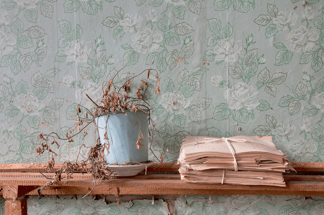 RebeccaBathory-fotografia-oldskull-20