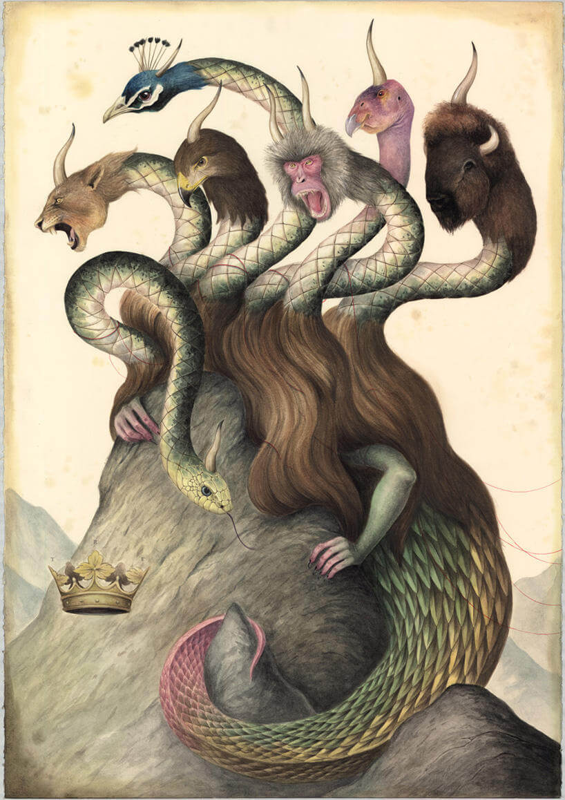 el gato chimea illustration 1