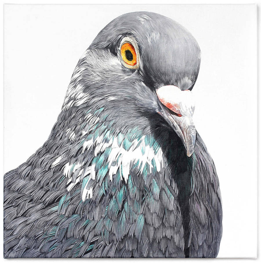 Adele Renault Paints Incredibly Realistic Pigeon (1)