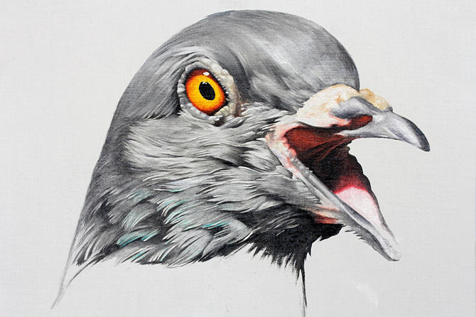 Adele Renault Paints Incredibly Realistic Pigeon (4-1)