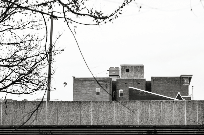 Parkour-fotografia-oldskull-07