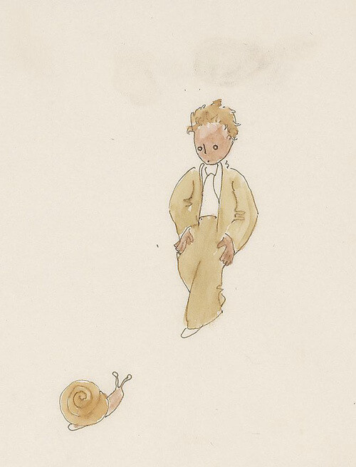 el principito dibujos ilustraciones 6