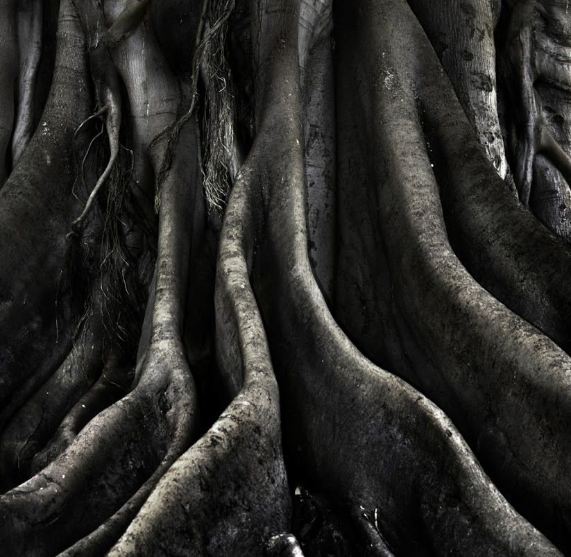 oldskull-foto-jesuschamizo-24