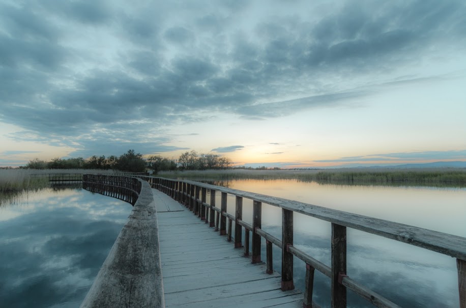 oldskull-foto-jesuschamizo-25