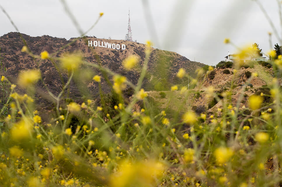 CaliforniaCool-fotografia-oldskull-14