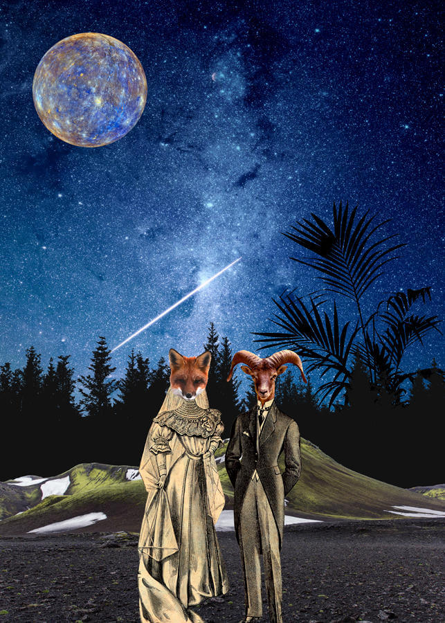 gloria sanchez collage ilustracion 4