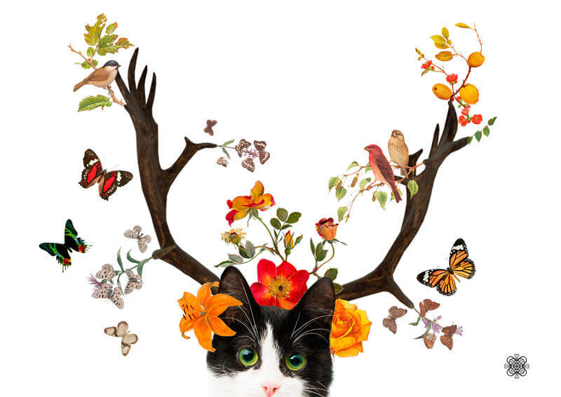 gloria sanchez collage ilustracion 9