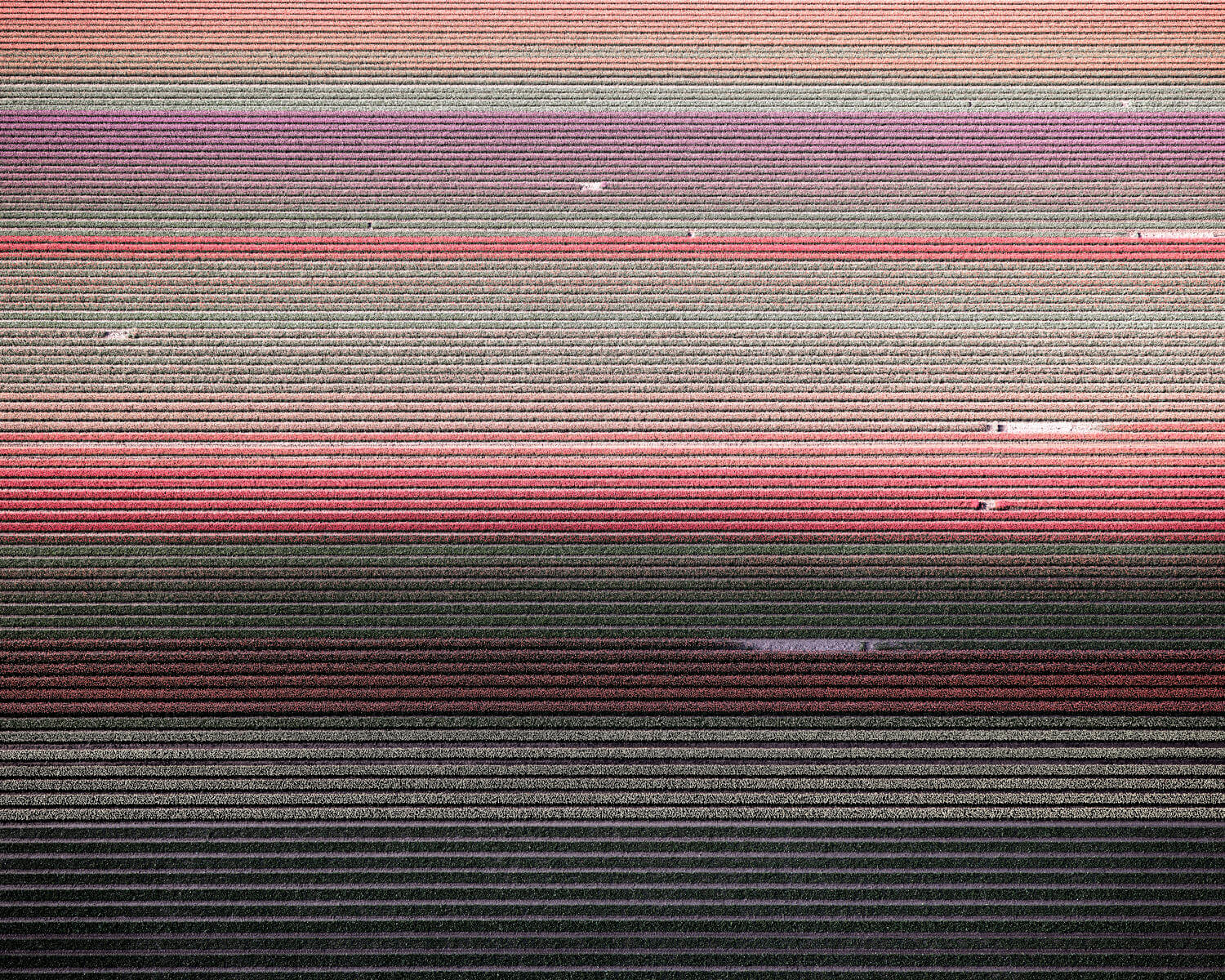 HyperFocal: 0