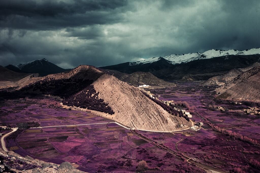 oldskull-foto-zakariawakrim-03