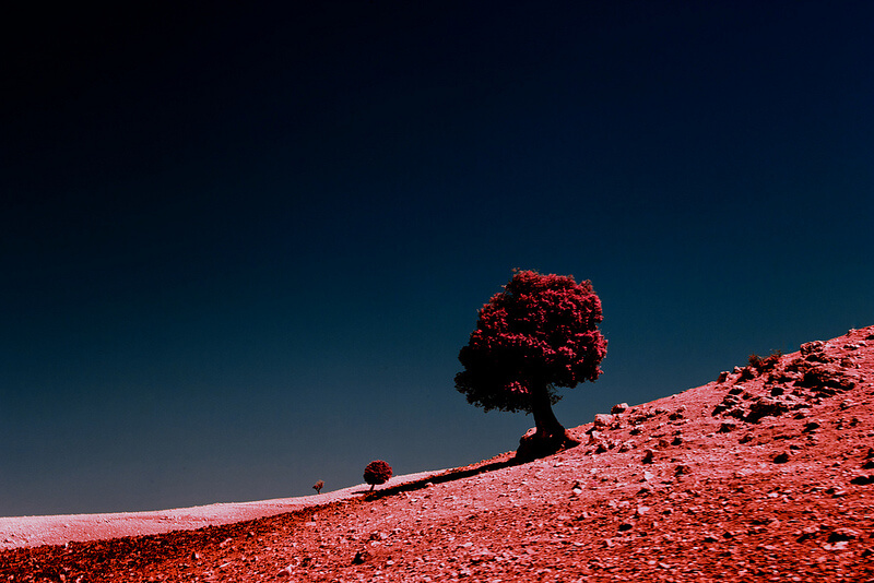 oldskull-foto-zakariawakrim-07