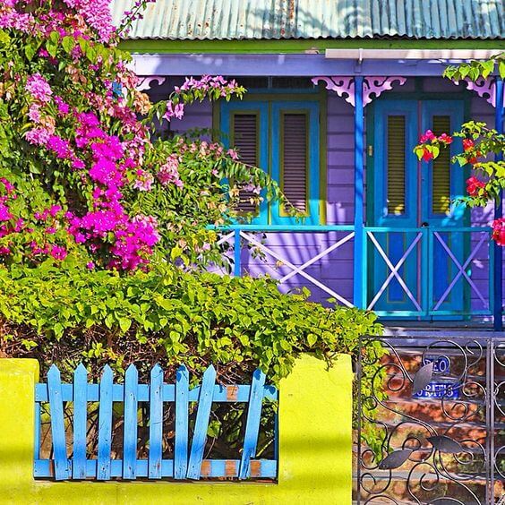 caribe colors 12