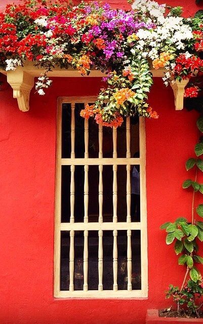caribe colors 4