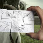 Ben Heine