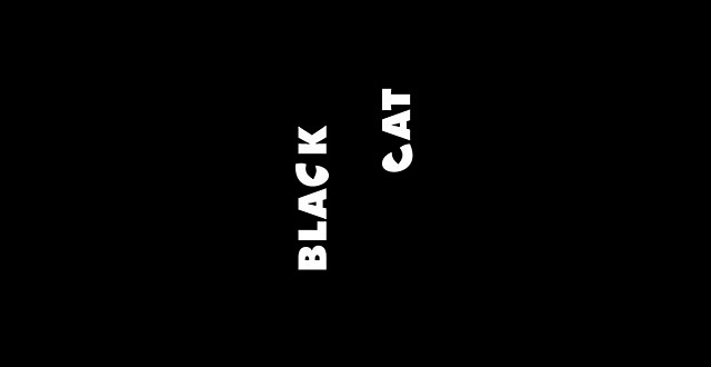 black_cat
