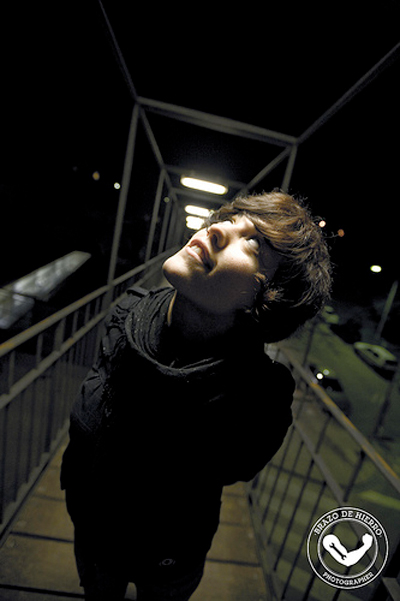 brazohierro2