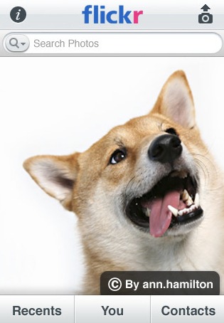 flickr-iphone02
