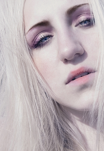 flickr01