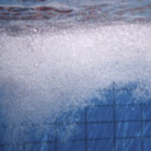 Jessica Polar