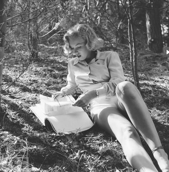 Fotografía de marylin monroe acostada sobre la hierba