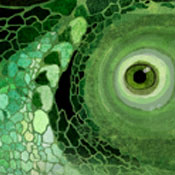 Rango – End Title