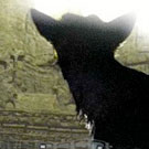 The Last Guardian, lo nuevo del project ICO