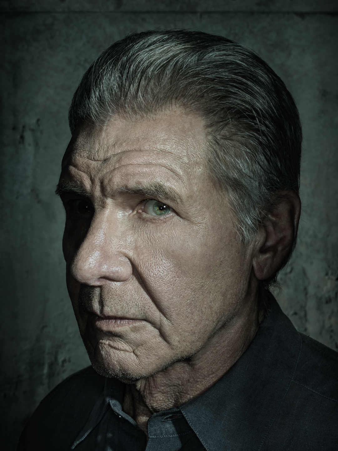 RETRATO DE HARRISON FORD