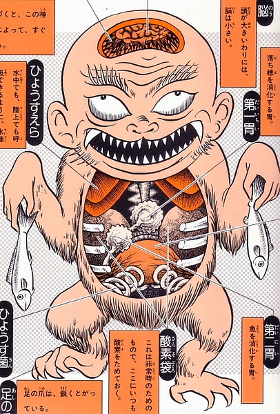 Dibujo donde se representa el interior visceral de un monstruo