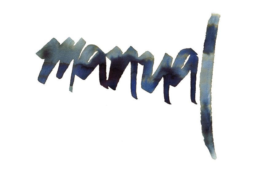 Manual lettering de lucia castro