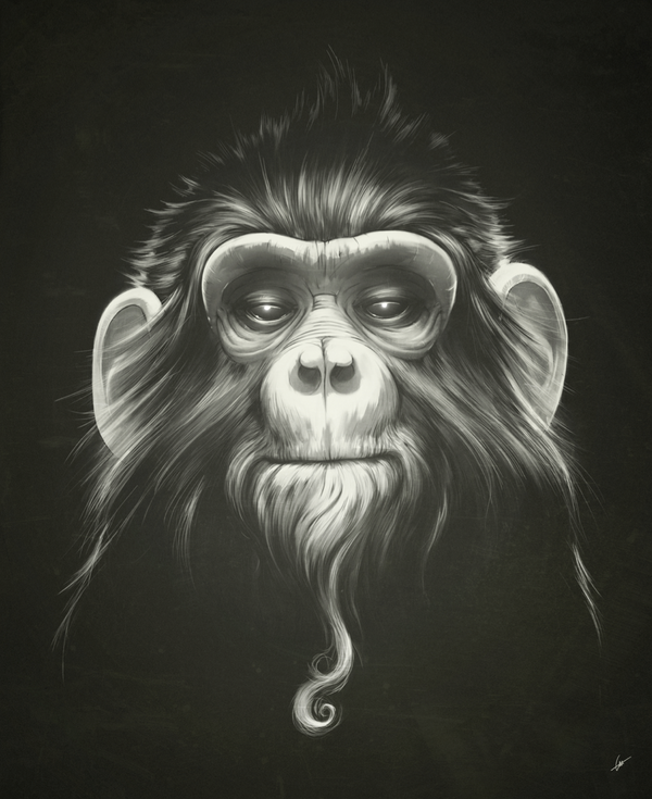 Ilustracion de un mono