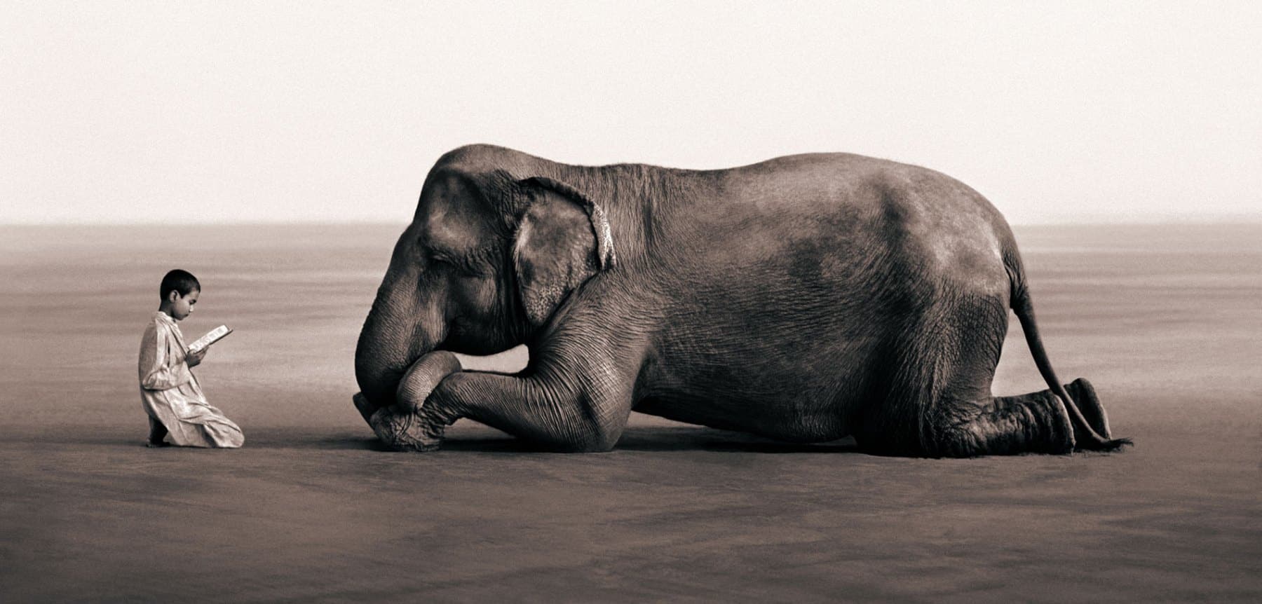 Niño leyendo frente un elefante foto degregory colbert
