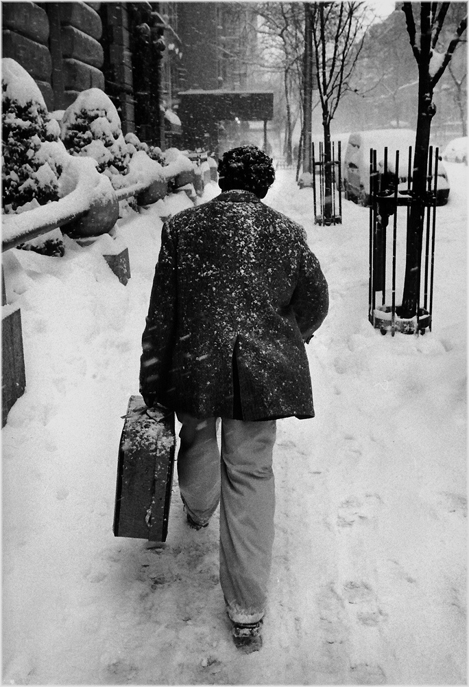 new york nevado