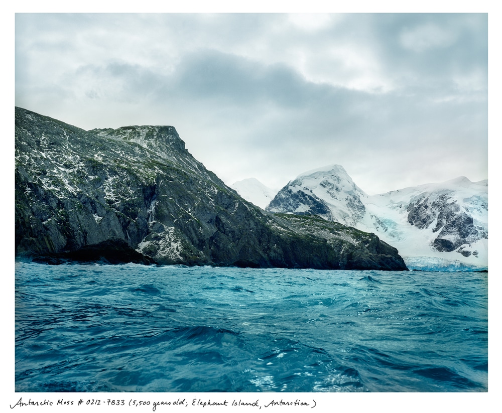 fotografía de oceano marino