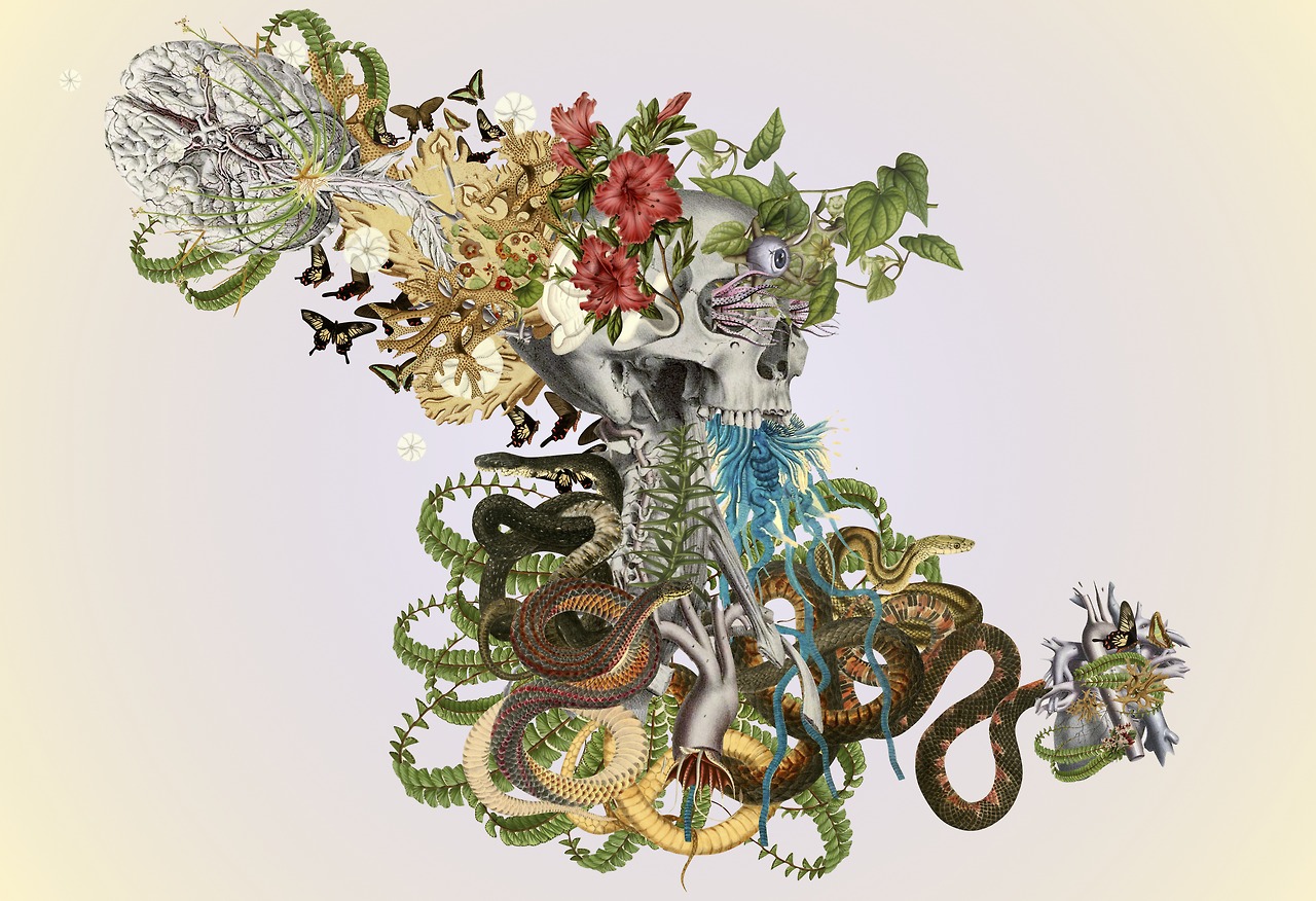 collage Bedelgeuse de calaveras y serpientes