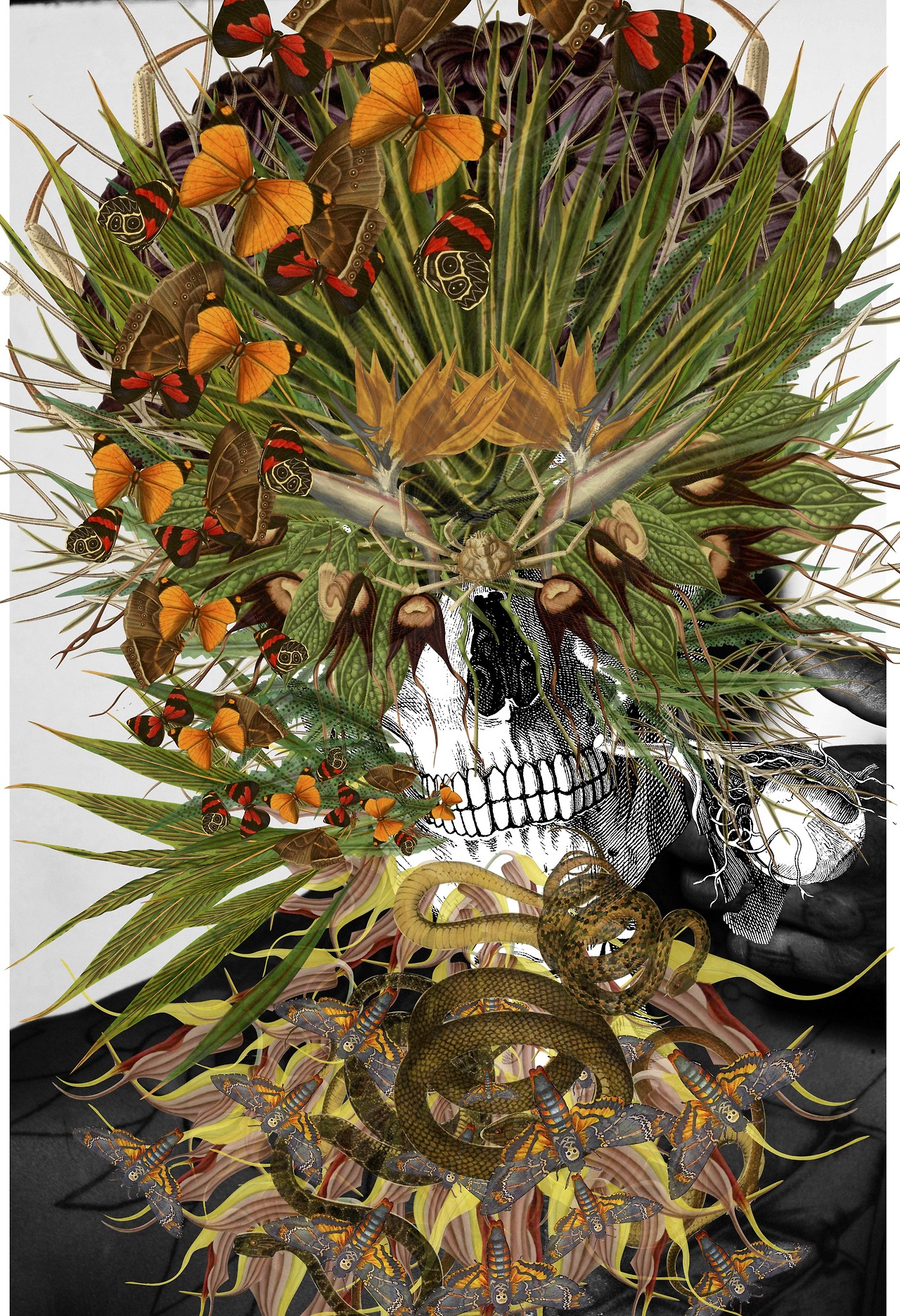 collage Bedelgeuse art calavera serpientes y flores