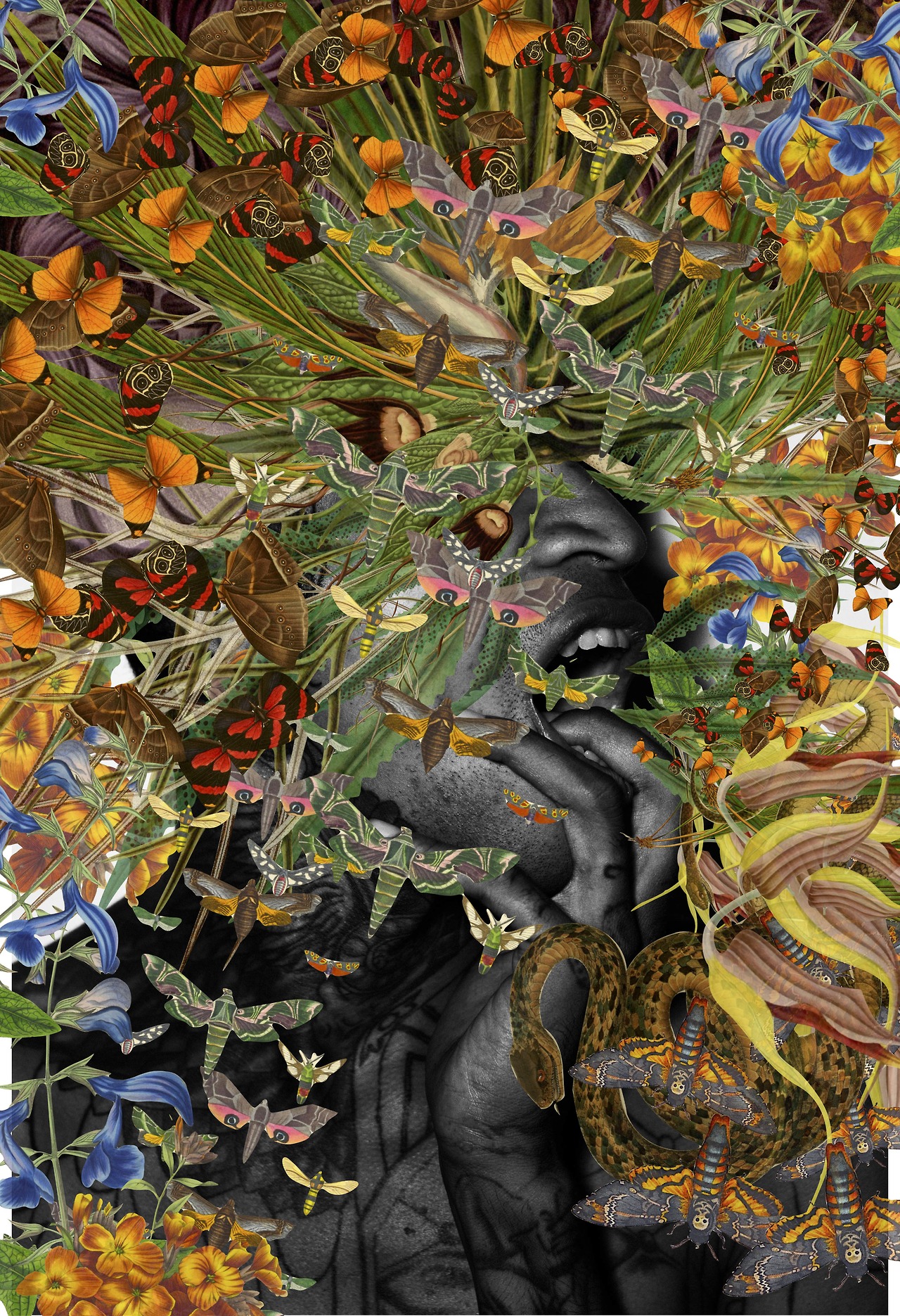 collage del artista Bedelgeuse