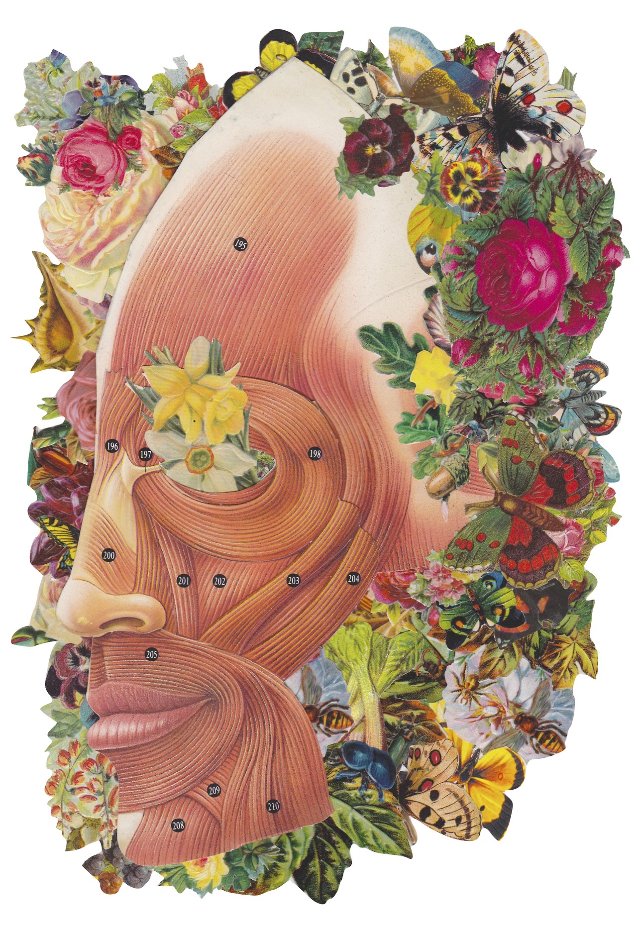 collage Bedelgeuse cara de persona con flores